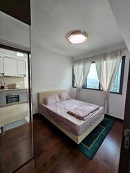 Normanton Park (D5), Apartment #456902881